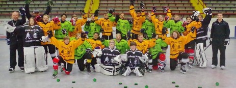 Eisstadion / Eishalle in Braunlage im Harz, Schlittschuhe, Eislaufen, Eisstockschiessen und Eishockey, Sport & Wintersport, Heiss auf Eis – dann kommt zu uns!